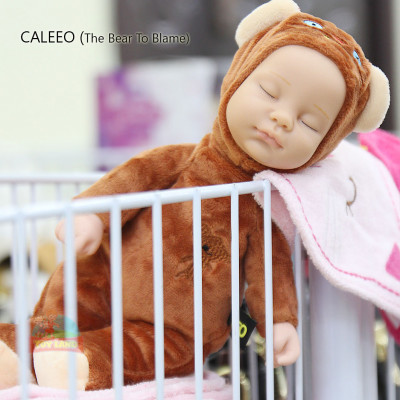 CALEEO : The Bear To Blame